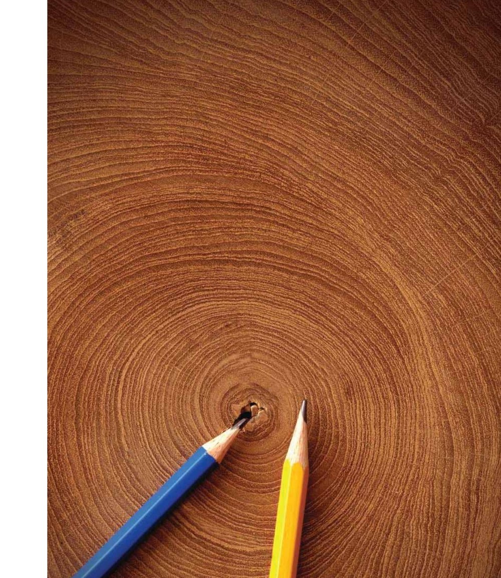 Close detail of wood grain